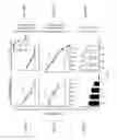 Fig. 08 - Combination immunotherapy compositions against cancer and methods