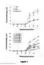 Fig. 08 - Lipopolysaccharide of ochrobactrum intermedium and their use as immunostimulant of mammalians