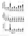 Fig. 10 - Lipopolysaccharide of ochrobactrum intermedium and their use as immunostimulant of mammalians