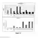 Fig. 11 - Lipopolysaccharide of ochrobactrum intermedium and their use as immunostimulant of mammalians