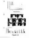 Fig. 13 - Lipopolysaccharide of ochrobactrum intermedium and their use as immunostimulant of mammalians