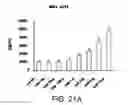 Fig. 20 - Lipopolysaccharide of ochrobactrum intermedium and their use as immunostimulant of mammalians