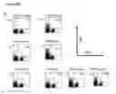 Fig. 29 - Lipopolysaccharide of ochrobactrum intermedium and their use as immunostimulant of mammalians