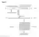 Fig. 06 - METHOD OF RAPIDLY PRODUCING IMPROVED VACCINES FOR ANIMALS
