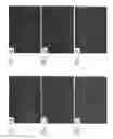 Fig. 04 - Subgenomic replicons of the flavivirus dengue