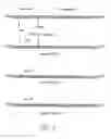 Fig. 06 - Subgenomic replicons of the flavivirus dengue