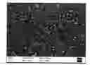 Fig. 01 - Films and particles