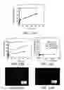 Fig. 09 - Stimuli-responsive systems for controlled drug delivery