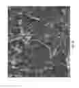 Fig. 06 - Composites of hydroxyapatite and calcium carbonate and related methods of preparation and use