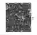 Fig. 08 - Composites of hydroxyapatite and calcium carbonate and related methods of preparation and use
