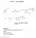 Fig. 01 - AMPHOTERIC LIPOSOMAL COMPOSITIONS FOR CELLULAR DELIVERY OF SMALL RNA MOLECULES FOR USE IN RNA INTERFERENCE