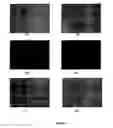 Fig. 06 - AMPHOTERIC LIPOSOMAL COMPOSITIONS FOR CELLULAR DELIVERY OF SMALL RNA MOLECULES FOR USE IN RNA INTERFERENCE