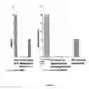 Fig. 07 - AMPHOTERIC LIPOSOMAL COMPOSITIONS FOR CELLULAR DELIVERY OF SMALL RNA MOLECULES FOR USE IN RNA INTERFERENCE