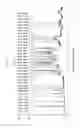 Fig. 20 - Crystalline pharmaceutical and methods of preparation and use thereof