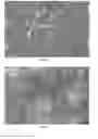 Fig. 11 - Method for the dry dispersion of nanoparticles and the production of hierarchical structures and coatings
