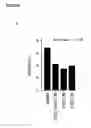 Fig. 11 - PRE-NATAL MESENCHYMAL STEM CELLS