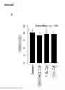 Fig. 12 - PRE-NATAL MESENCHYMAL STEM CELLS