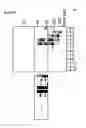 Fig. 14 - PRE-NATAL MESENCHYMAL STEM CELLS