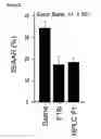 Fig. 15 - PRE-NATAL MESENCHYMAL STEM CELLS