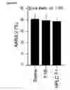 Fig. 16 - PRE-NATAL MESENCHYMAL STEM CELLS