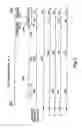Fig. 02 - ESTROGEN RECEPTOR ALLELES THAT ARE PREDICTIVE OF INCREASED SUSCEPTIBILITY TO BONE FRACTURE
