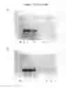 Fig. 15 - Method for reducing methoxypyrazines in grapes and grape products