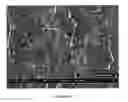 Fig. 07 - Glove coating and manufacturing process