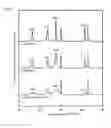 Fig. 04 - Positive electrode current collector for lead accumulator
