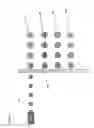 Fig. 05 - MULTI COMPONENT PARTICLE GENERATING SYSTEM