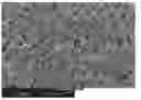 Fig. 01 - Ceramic encapsulation with controlled layering by use of functionalized silanes