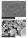 Fig. 02 - Ceramic encapsulation with controlled layering by use of functionalized silanes