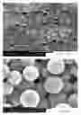 Fig. 03 - Ceramic encapsulation with controlled layering by use of functionalized silanes