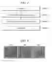 Fig. 03 - Method for forming Ge-Sb-Te film and storage medium
