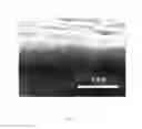 Fig. 03 - Carbon nanotube composite structure