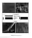 Fig. 02 - Embedded arrays of vertically aligned carbon nanotube carpets and methods for making them