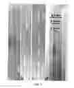 Fig. 06 - Double-walled carbon nanotubes and methods for production and application