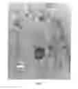 Fig. 08 - Double-walled carbon nanotubes and methods for production and application
