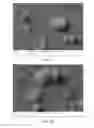 Fig. 18 - Hydroxyapatite poly(etheretherketone) nanocomposites and method of manufacturing same
