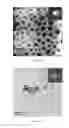 Fig. 21 - Hydroxyapatite poly(etheretherketone) nanocomposites and method of manufacturing same