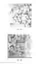 Fig. 22 - Hydroxyapatite poly(etheretherketone) nanocomposites and method of manufacturing same