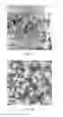 Fig. 23 - Hydroxyapatite poly(etheretherketone) nanocomposites and method of manufacturing same