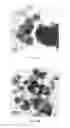 Fig. 25 - Hydroxyapatite poly(etheretherketone) nanocomposites and method of manufacturing same