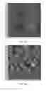 Fig. 31 - Hydroxyapatite poly(etheretherketone) nanocomposites and method of manufacturing same