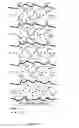 Fig. 03 - N-HALAMINE BASED BIOCIDAL COATINGS COMPOSED OF ELECTROSTATICALLY SELF-ASSEMBLED LAYERS