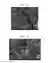 Fig. 07 - COMPOSITES OF SELF-ASSEMBLED ELECTRODE ACTIVE MATERIAL-CARBON NANOTUBE, FABRICATION METHOD THEREOF AND SECONDARY BATTERY COMPRISING THE SAME