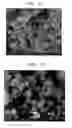 Fig. 09 - COMPOSITES OF SELF-ASSEMBLED ELECTRODE ACTIVE MATERIAL-CARBON NANOTUBE, FABRICATION METHOD THEREOF AND SECONDARY BATTERY COMPRISING THE SAME