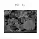 Fig. 10 - COMPOSITES OF SELF-ASSEMBLED ELECTRODE ACTIVE MATERIAL-CARBON NANOTUBE, FABRICATION METHOD THEREOF AND SECONDARY BATTERY COMPRISING THE SAME