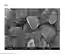 Fig. 03 - CATHODE MATERIAL FOR LITHIUM SECONDARY BATTERIES AND LITHIUM SECONDARY BATTERY CONTAINING THE SAME