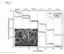 Fig. 06 - CATHODE MATERIAL FOR LITHIUM SECONDARY BATTERIES AND LITHIUM SECONDARY BATTERY CONTAINING THE SAME