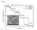 Fig. 09 - CATHODE MATERIAL FOR LITHIUM SECONDARY BATTERIES AND LITHIUM SECONDARY BATTERY CONTAINING THE SAME